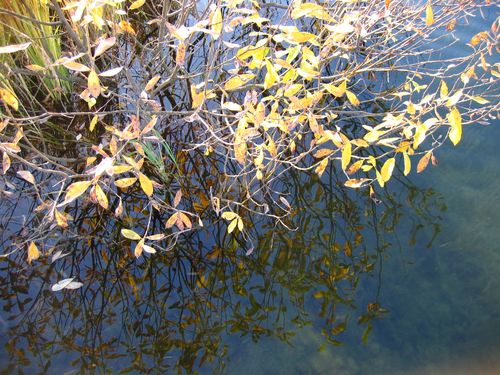 На берегу озера