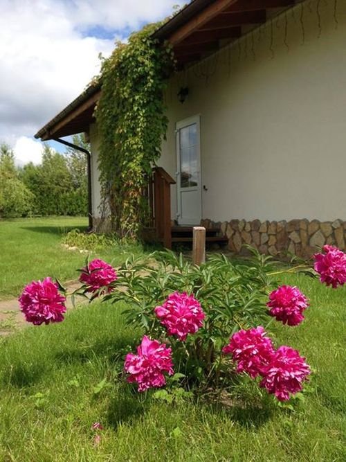 Элитный коттедж в поселке Спас-Каменка