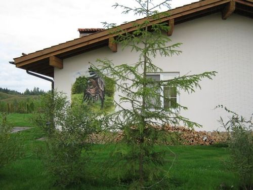 Индивидуальное оформление фасадов коттеджей в поселке Спас-Каменка