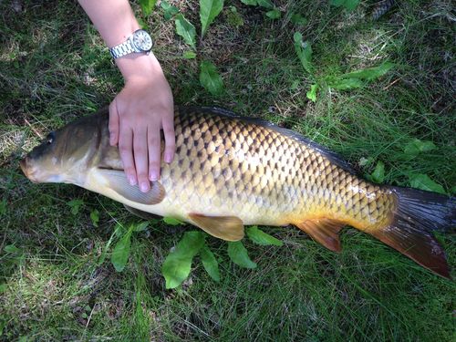 Рыбалка на Спас-Каменке