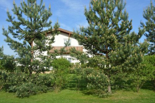 Комфортабельный коттедж