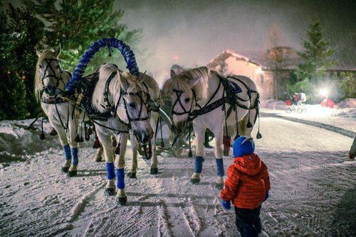 Новогодние катания на тройках в Спас-Каменке