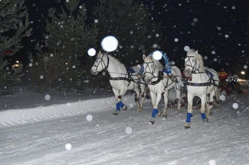 Катание на лошадках в Спас-Каменке