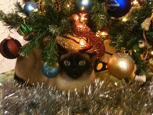 Снегурочка