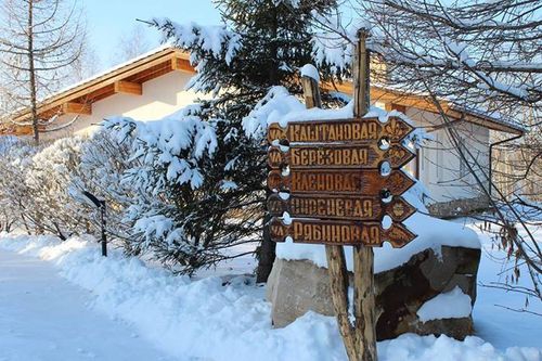 Зима в арендном поселке Спас-Каменка