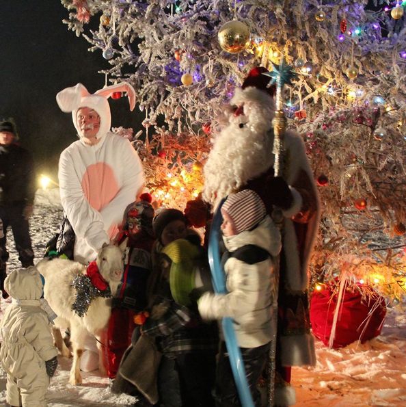 Встречаем год козы