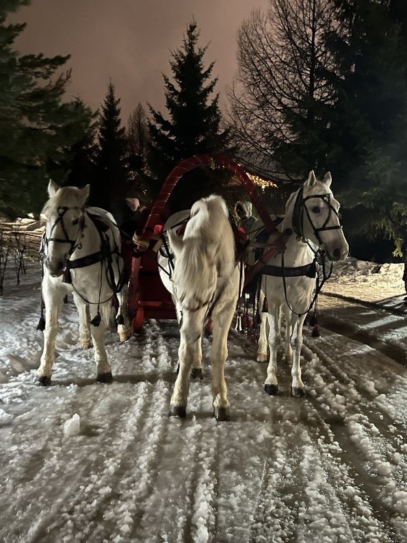 Спас-Каменка новогодние праздники Катание на тройке в Спас-Каменке