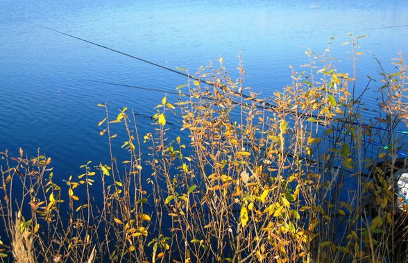 Завораживающая гладь озера