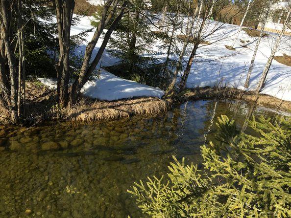 Форелевая речка