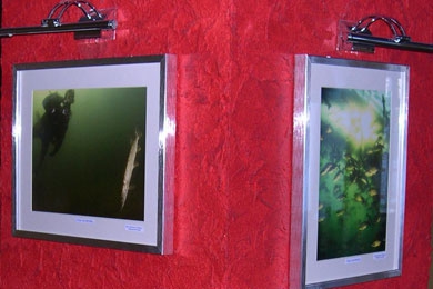 Оформление