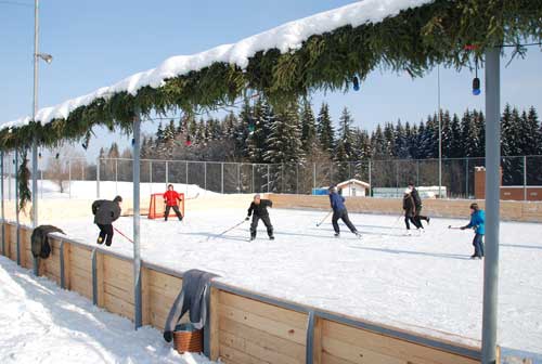 Хоккейный матч