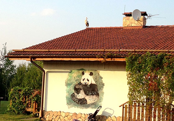 Аист на крыше коттеджа