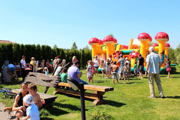 Игры на волшебной поляне