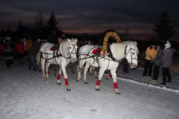 Катания на тройке