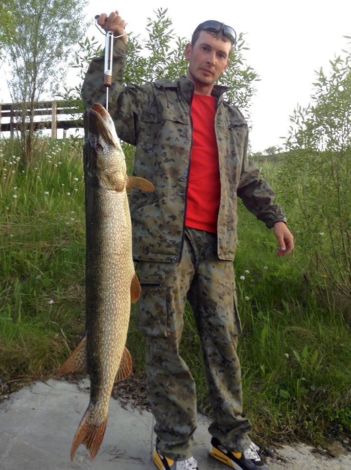 Щука 8,5 кг Трофейная щука