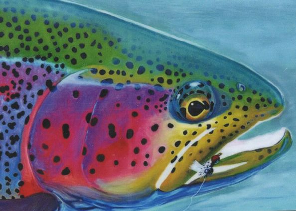 Форелевая речка