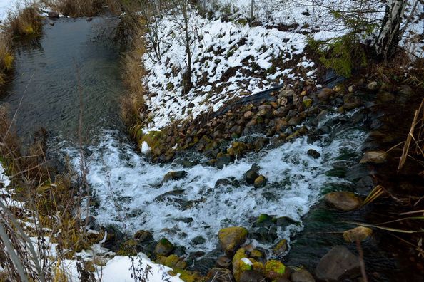 Ручей в котором живет форель