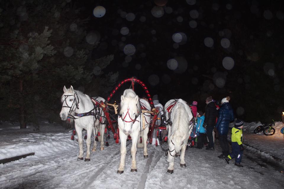Катания на русской тройке