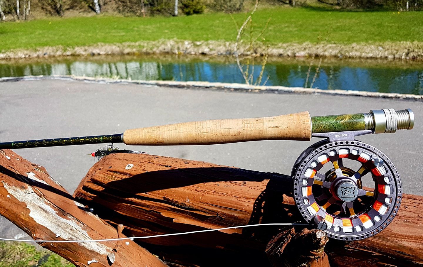 FLY DAY 2017 FLY DAY 2017