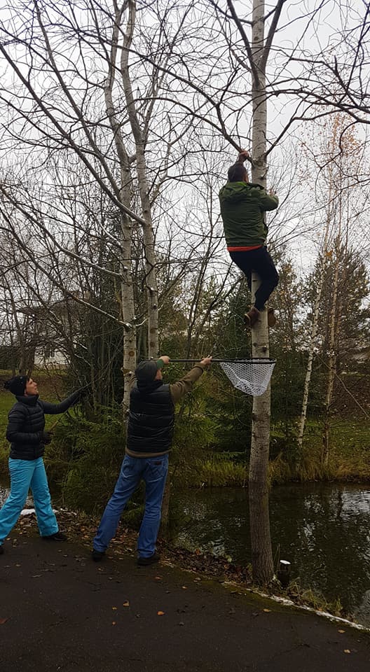 Итоги HARDY CUP 2017 Итоги HARDY CUP 2017