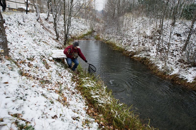 Форелевая речка HARDY CUP в Спас-Каменке