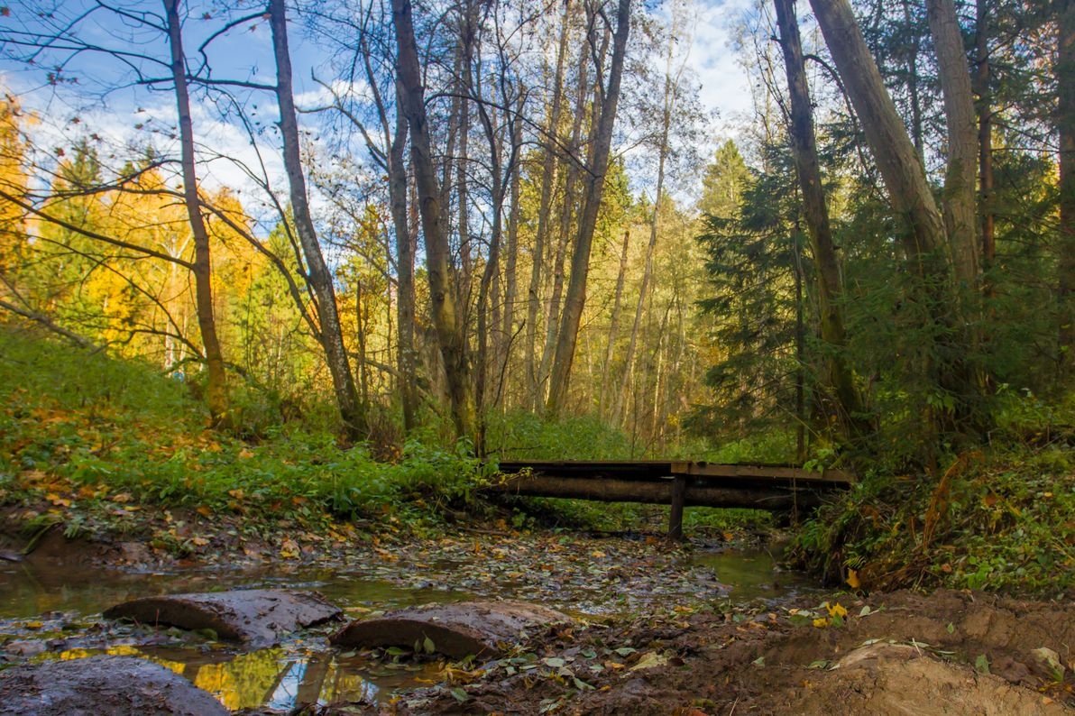 Alpindustria trail на Спас-Каменке Alpindustria trail на Спас-Каменке