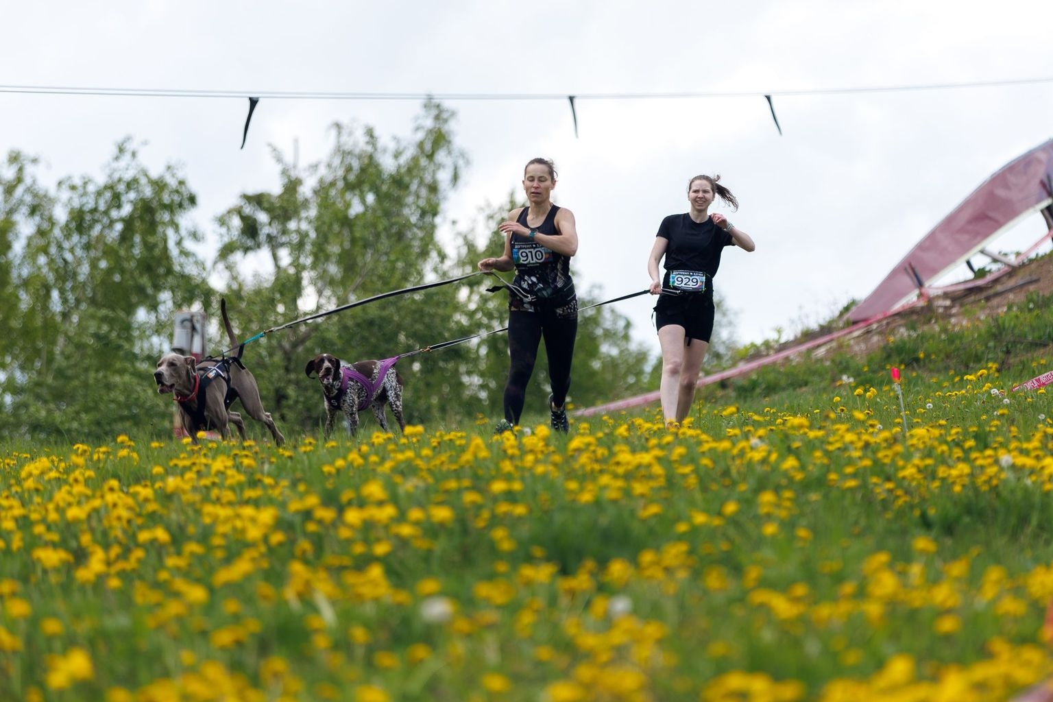 Спас-Каменка Альпиндустрия Трейл - Догтрейл СКАТ 23