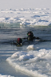 Спас-Каменка. Дайвингисты.