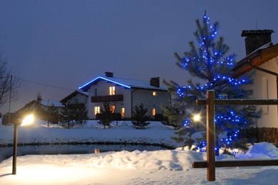 Спас-Каменка. Новогодняя ель на фоне арендных коттеджей.
