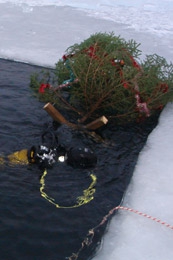 Спас-Каменка. Установка ели перед под водой.