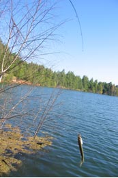 Отличная рыбалка